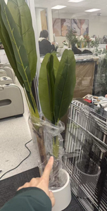 Planta de arte verde - Product Image 1