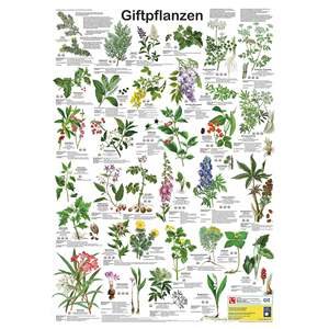 German DIN A1 Poisonous Plants <b>Poster</b> Offset Printing Techniques for Graphics - Product Image 1