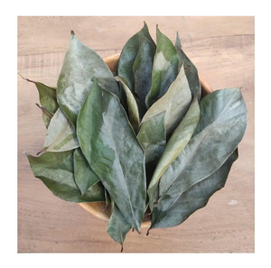 Proveedor de hojas secas de Guanábana de alta calidad de Vietnam para exportación - Product Image 1