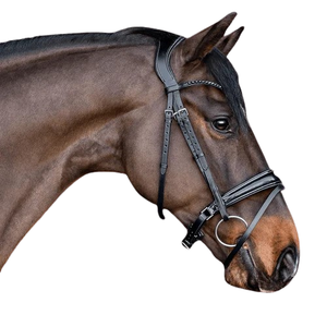 Fabricant de bride en cuir de cheval, nouvelle conception de bride en cuir roulé, couleur noir et marron - Product Image 6