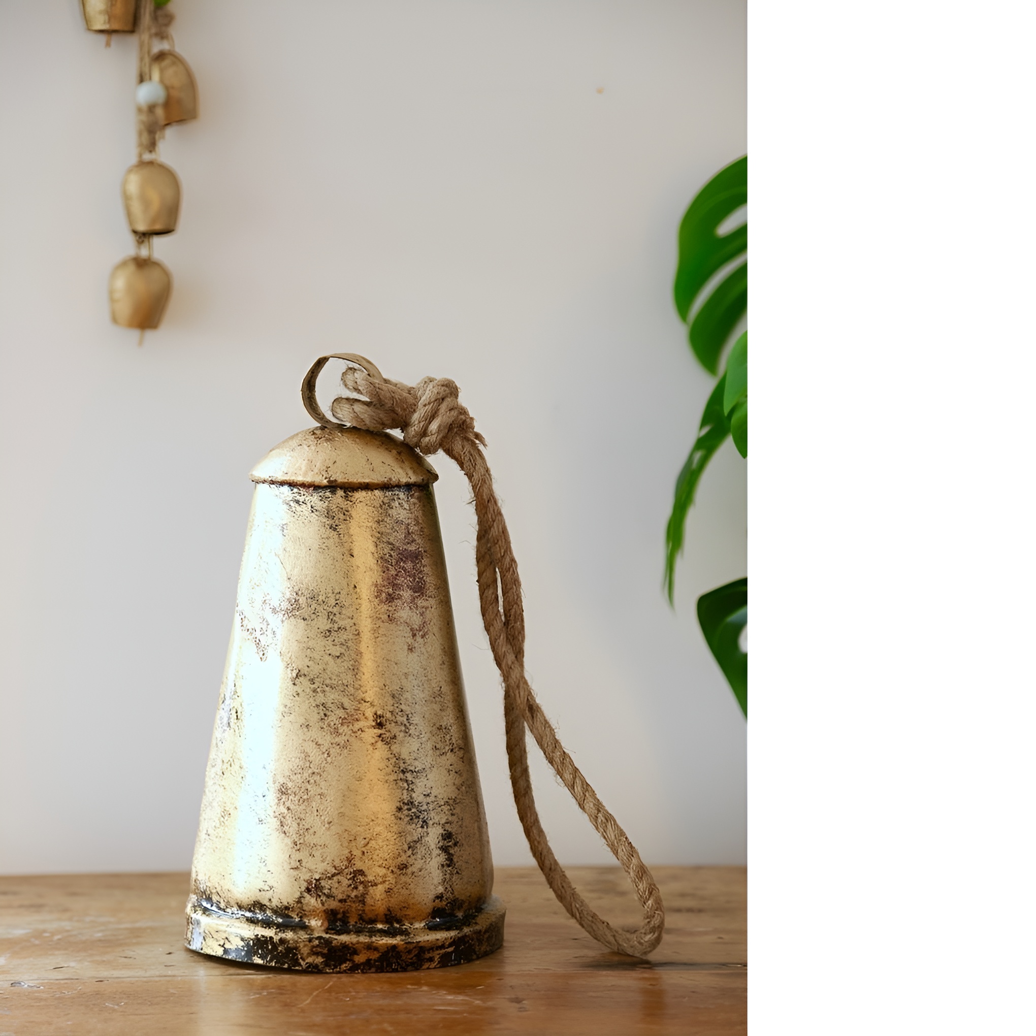 ตามที่แสดง