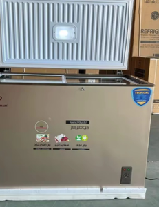 Congélateur coffre 300L à porte unique, congélation profonde, réfrigérateur électrique sans givre, double température pour usage domestique et commercial - Product Image 1