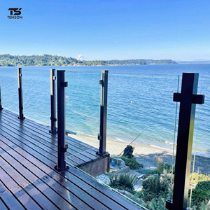 TENSON Adjustable Stainless <strong>Steel</strong> 304/316 Glass <strong>Railing</strong> with Posts for Pool/Deck/<strong>Stair</strong>/Balcony-Modern <strong>Design</strong> Black Handrail - Product Image 5