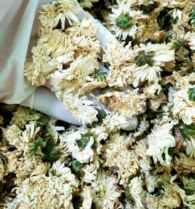 Venta al por mayor de té de flores secas de crisantemo-desintoxicante-bueno para la salud-a granel - Product Image 4