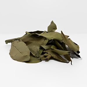 Produit tendance chaud 2025! Approvisionnement en vrac feuilles de corossol séchées/feuille de Graviola à bas prix au Viet Nam - Product Image 5