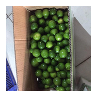 Export Standaard Verse Limoen/Citroenzaad/Vietnam Citrus 100% Natuurlijk Met Premium Kwaliteit En Zure Smaak