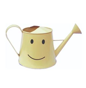 Regadera de metal, exportador de plantas, jardín interior y exterior, herramientas de jardinería sin óxido - Product Image 3