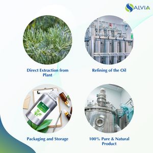 Aceite Esencial de Salvia 100% Puro y Natural, OEM/ODM, Venta al Por Mayor, Empaque Personalizado, Precio Bajo, Cuidado de la Piel y Salud - Product Image 4