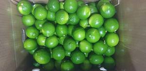 Limón Seco Natural del Río Mekong Sin Aditivos Cítricos para Suministro B2B y OEM - Product Image 1