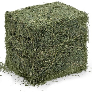 Vente en gros tendance : Nouvelle qualité supérieure de foin d'alfalfa, de foin de timothée et de foin de bermuda en promotion - Product Image 1