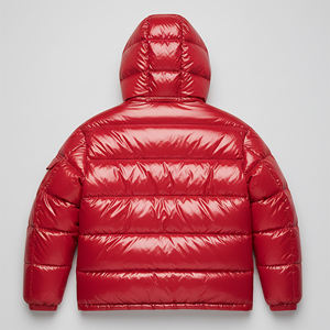 Veste bomber d'hiver imperméable et coupe-vent de qualité supérieure, très vendue, pour hommes, en toile brillante, tendance, légère, à capuche - Product Image 2