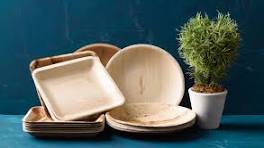 Assiettes en feuilles de palmier naturelles, biodégradables, jetables, en vrac - Product Image 6