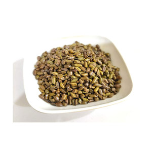 Bán buôn 100% tự nhiên tối ưu chất lượng cassia TORA hạt giống chiết xuất thảo dược từ Hoang Dã phát triển lá gia vị trong trống bao bì - Product Image 1