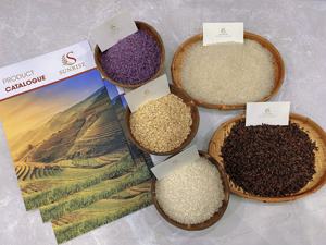 Arroz Blanco de Grano Largo de Vietnam, Seco, Calidad Premium, Grado AAA, Certificado ISO 9001, SUNRISE INS GROUP MS. Yuri - Product Image 4