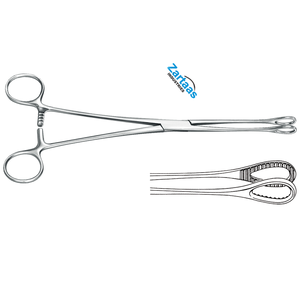 Fórceps de hisopo de algodón Foerster de acero inoxidable de alta calidad, fabricante de instrumentos quirúrgicos rectos dentados de 18cm / 7 pulgadas - Product Image 6