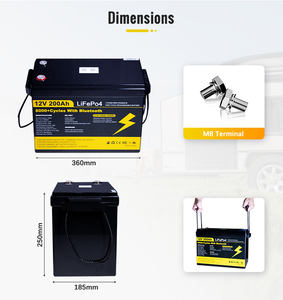 Stock UE Batterie LiFePO4 12V/24V 100Ah-300Ah BMS intelligent 8000+ cycles pour camping-car solaire hors réseau - Product Image 2