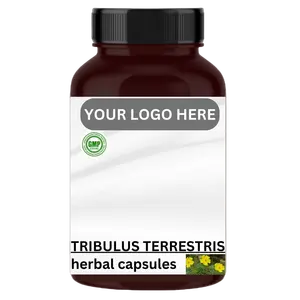 Tribulus terrestris Herbal Capsules Harness the Goodness of Herbs Customization available, Private labeling