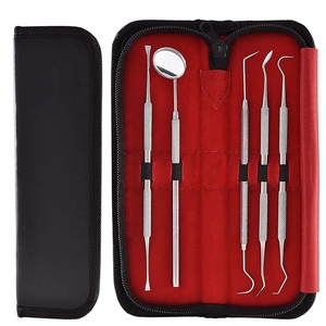 Kit de Herramientas Portátiles de Acero Inoxidable para Limpieza Bucal, Removedor Manual de Placa Dental, Limpieza de Dientes para Uso Odontológico - Product Image 1