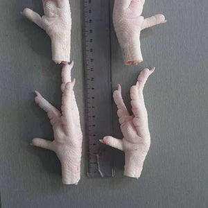 ขาไก่แช่แข็งฮาลาล คุณภาพดี รสหวาน ชั้นหนึ่ง คุณภาพเยี่ยม - Product Image 1