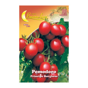 Semi Orto Pomodoro Roma - Product Image 2