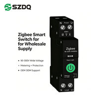 Disjoncteur intelligent Wi-Fi à large plage de tension 1P+N sur rail DIN avec surveillance de la puissance en temps réel 1A~63A, capacité de coupure 6kA
