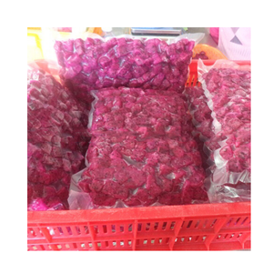 Tranches de fruits du dragon rouge congelés de qualité supérieure fruits naturels sucrés exportation en vrac approvisionnement en gros - Product Image 2