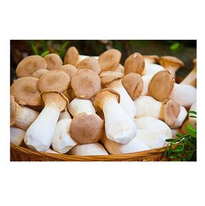 เห็ดพอร์ชินีแบบยุโรปแห้ง50ก. เห็ดคุณภาพสูงอร่อย - Product Image 3