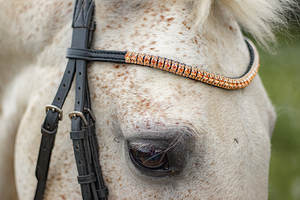 วงคิ้วม้าสีโรสโกลด์แบบพับได้ - Product Image 3