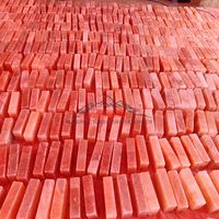 JOBAK Vente en gros de briques de sel de l'Himalaya naturelles sculptées de 5x10x20 cm, certifiées ISO, directement des mines du Pakistan, personnalisables, qualité supérieure