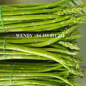 Espárragos verdes de Vietnam-Verduras naturales congeladas a precios competitivos - Product Image 5