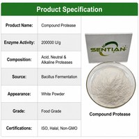 Poudre d'enzyme protéase composée de qualité alimentaire 200 000 U/g pour la hydrolyse des protéines