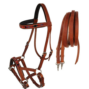 Bridon de polo en cuir véritable souple, ajustable, confortable, avec rênes et logo personnalisé, pour cheval professionnel - Product Image 1