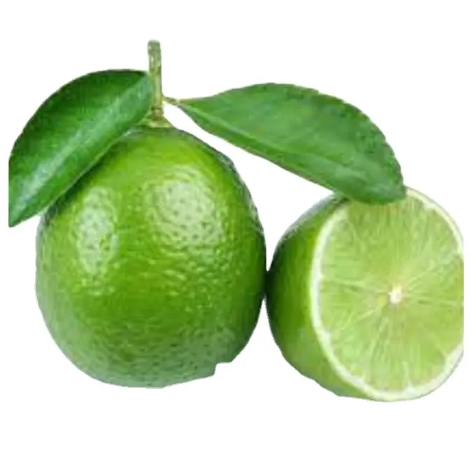 Nuovo raccolto 2023 verde Lime fresco/agrumi freschi/limone naturale senza semi