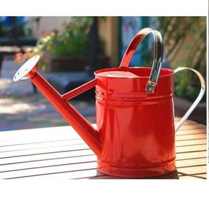 Regadera Decorativa de Hierro Grabada a Mano para Jardín, Acabado Azul de Alta Calidad, Regadera Personalizada de Primera Calidad - Product Image 6