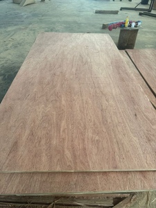 Panel de Madera Contrachapada de Chapa de Bintangor de Grado Interior, Proveedor de Vietnam - Product Image 2