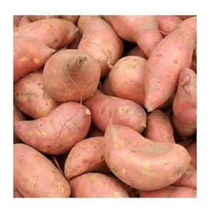 Fournisseur en gros de légumes frais de qualité naturelle, patates douces en vrac, prêts à l'exportation - Product Image 1