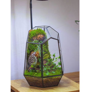 Top vente décoration de la maison en laiton Mini verre géométrique Terrarium Vase verre clair noir fini pour la décoration de table et la décoration de la maison - Product Image 1