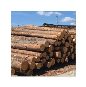 Troncos de álamo al por mayor de operaciones forestales certificadas en Europa del Este y China con cadena de custodia PEFC - Product Image 1