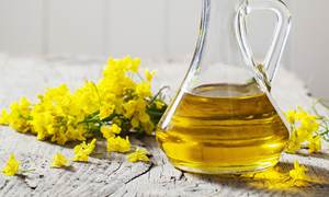 น้ำมันคาโนลาบริสุทธิ์ ออร์แกนิค พรีเมียม สำหรับปรุงอาหาร น้ำมันเรพซีดบริโภคได้ 5 ลิตร แบบแยกส่วน - Product Image 3