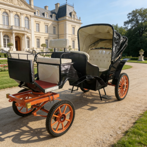Carrozza Leggera e Facile da Tirare per Tour Panoramici Brevi, <span class=keywords><strong>Passeggiate</strong></span> in Città Antica, Gite sul Lago e Parate Culturali Rurali - Product Image 4