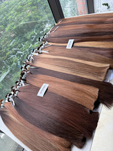 Super Double Drawn 100% Vietnamese Natural Human Hair Natural Wavy Natural Straight Color #1 #<b>PLA</b> #Brown 50-70cm - Product Image 1