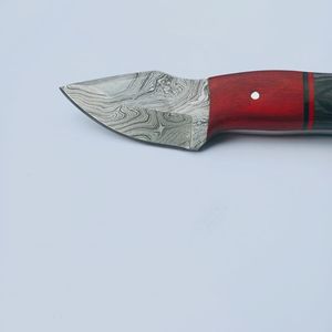 Magnifique couteau de chasse et de camping à lame fixe en acier Damas de haute qualité, personnalisé, avec manche en bois Pakka - Product Image 4
