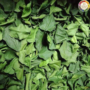 99GD VEGAN FRIENDLY <b>DRIED</b> LIME LEAVES NATURAL CITRUS HERB FROM <b>PLANT</b> <b>DRIED</b> KAFFIR LIME LEAVES / LEMON LEAF HIGH QUALITY - Product Image 4