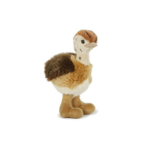 Struzzo bambino in piedi - Product Image 1