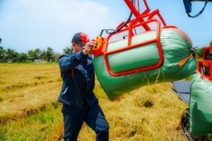 HOGICO GS-80VN/PLUS Truck Conçu pour une stabilité supérieure sur terrain boueux optimisé pour un transport fiable des produits agricoles - Product Image 5