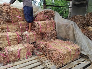 วัสดุผักตบชวาแห้งจากเวียดนาม ผักตบชวาธรรมชาติสำหรับงานฝีมือ ตะกร้า เฟอร์นิเจอร์ วัสดุผักตบชวา - Product Image 3