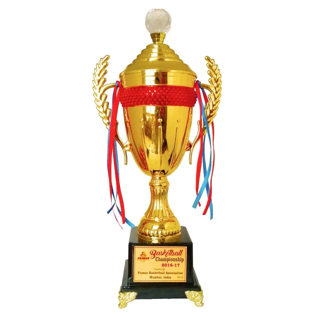 Dünya popüler plastik taban kupa bardak toptan Metal kupa ödülü spor altın futbol kupası aksesuar ekleyebilirsiniz