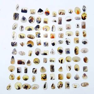 100% naturel Shazar dendritique Agate lâche pierres précieuses Cabochon pierres précieuses en vrac en gros mélange forme pierres précieuses pour la fabrication de bijoux - Product Image 1