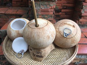 น้ำมะพร้าวสดเปิดฝามะพร้าวได้ง่าย-จากเวียดนาม - Product Image 5