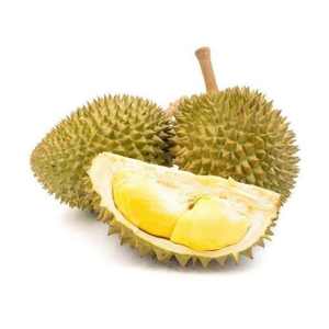 Durian congelé Pulpe de viande de Durian congelée du Vietnam morceaux de Durian IQF transformés pour les smoothies Dessert Marché d'exportation Approvisionnement - Product Image 3